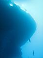 Thistlegorm (7)